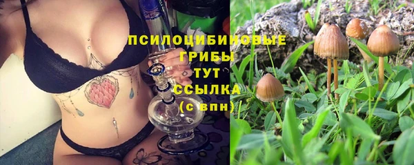 PSILOCYBIN Баксан